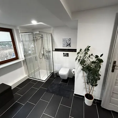 Zwei Schoene In Der Naehe Von Winterberg Appartement Rengershausen